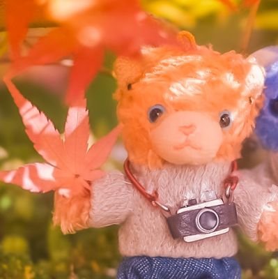 aoiさんのプロフィール画像