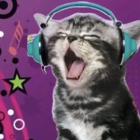 heyyoha(friend) (@heyyohats) 's Twitter Profile