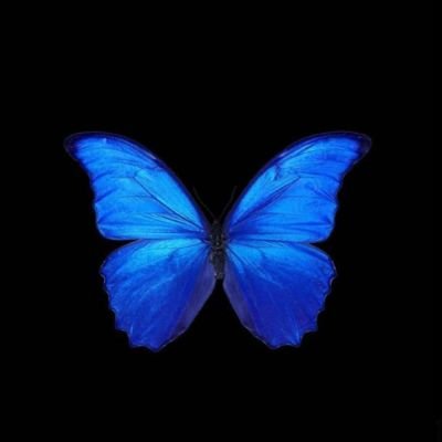 theprettyfatma's profile picture. ISFJ🦋 #CS STUDENT IN UJ 👩🏽‍💻 2025👩🏽‍🎓💻. I’m a nice person بس لاتمصخها✨
JK💙💤