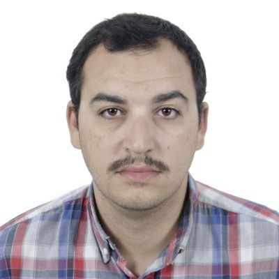 FLanasri's profile picture. Translator in Arabic , French and English .