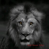 The01 (@tz_01mind) Twitter profile photo