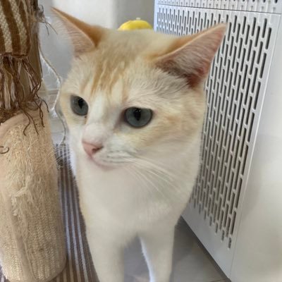 Zd2Et's profile picture. 