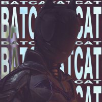 batcat (@ba1_cat) 's Twitter Profile