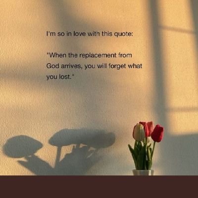 SteveHormone's profile picture. Simplicity and being a realist