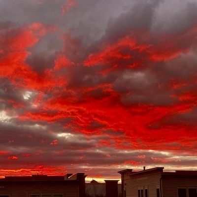 Bordermint's profile picture. 