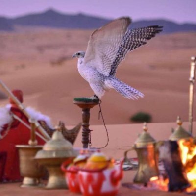 mdly362782's profile picture. محلل زواج العصمة ستكون بيدمن تقررون،طلباتي فقط اجورالنقل، وأتمنى أن تجدوا فينا الأخوة.ملاحظة:أُعاني من إعاقة، لذا أتوقع تقديرهذا الأمرفلن تشعرون بلحرج بفعلهامعي