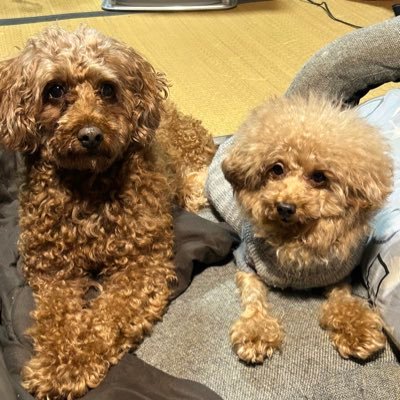 モンスト垢ノンビリ絆貯め(^ω^)ランク1534運極数1425宜しく〜〜です。推しキャラ!ガブリエル❣️絆貯めフレンド&相方募集中だよー🥰