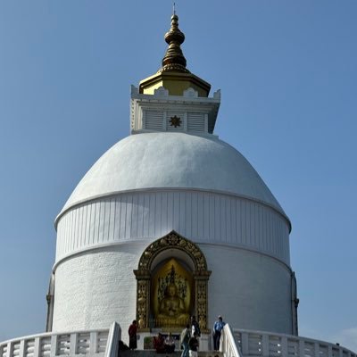 tewariyashartha's profile picture. 