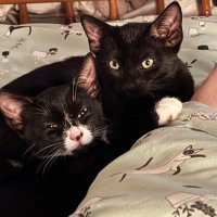 Vicky Brotherton (@vicky_rgn) 's Twitter Profile Photo Vicky Brotherton (@vicky_rgn) 's Twitter Profile Photo