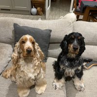 Hilary Nelson (@hilaryn81160762) 's Twitter Profile Photo Hilary Nelson (@hilaryn81160762) 's Twitter Profile Photo