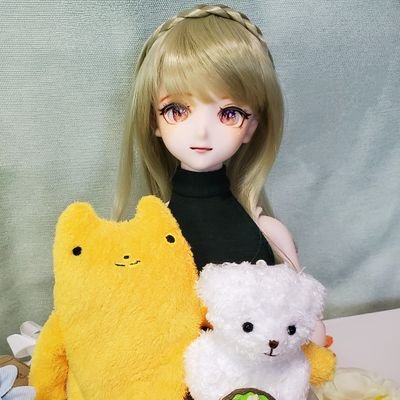 2024年11月からドールオーナーになりました!うちの子たちDD(玲)、DDS(柊)、MDD(槐)と一緒の暮らしをのんびり楽しんでいます😊