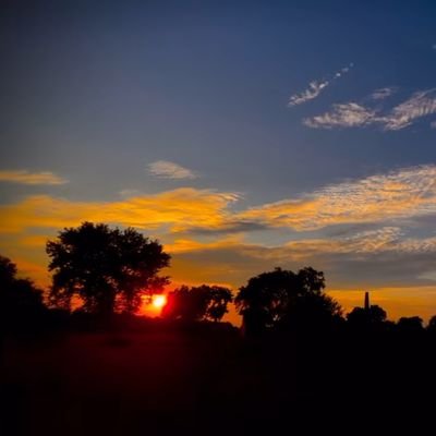 musa_alii0's profile picture. 