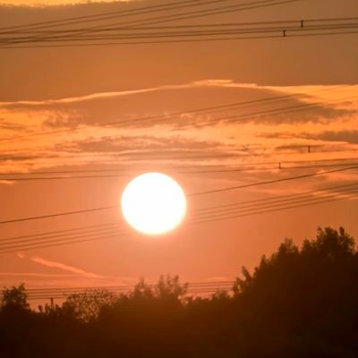 linbei520i's profile picture. 温主