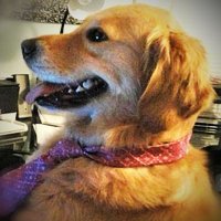 ghffb47yii2rteeyy10op community on Base (@ghffb47) 's Twitter Profile