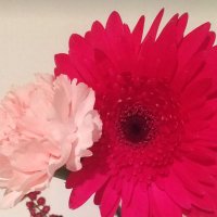 男性に圧倒的自信と余裕を❣️トレーニング&施術・性教育系セラピスト (@kanaeruqueen) 's Twitter Profile Photo 男性に圧倒的自信と余裕を❣️トレーニング&施術・性教育系セラピスト (@kanaeruqueen) 's Twitter Profile Photo
