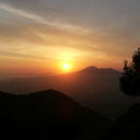 Rowena Bennett - @Row_Bennett - Twitter