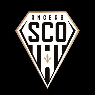 Angers SCO Profile