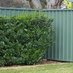 fence (@fencesgreen) Twitter profile photo fence (@fencesgreen) Twitter profile photo