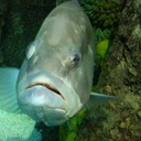 bella jones - @bellz02 - Twitter