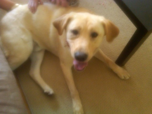 ssgadambray's profile picture. 