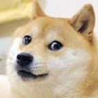 Y_Q_Y_Q_Y_Q's profile picture. 1% better everyday