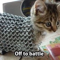 meowMETA #NAFO 🇪🇺🇺🇦🏳️🌈🚀🚀🚀 (@andi_schmlr) 's Twitter Profile