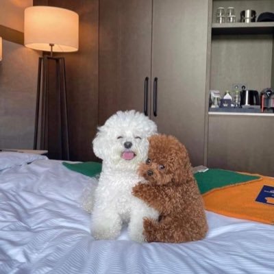 mullayy88's profile picture. I talk a bunch of you know what... ⚠️ from 22 square miles of rock 🇧🇲