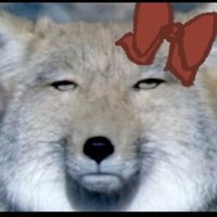 狂戦士なちべさん (@miin5200) 's Twitter Profile