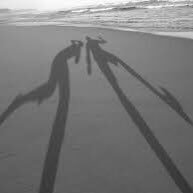 siempie1958's profile picture. 