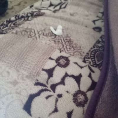 UmutA95335's profile picture. 