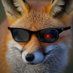 Fox ๐ฆ๐ค (@foxamandil) Twitter profile photo Fox ๐ฆ๐ค (@foxamandil) Twitter profile photo