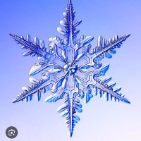 🟣スイレン❄️ (@13waterlily) 's Twitter Profile