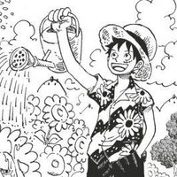 Shin St.Patrick || YONKO || Shanks Glazer (@shin_mjst) 's Twitter Profile