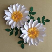 عبد الباسط عمری آقا (@bdmry98814) 's Twitter Profile