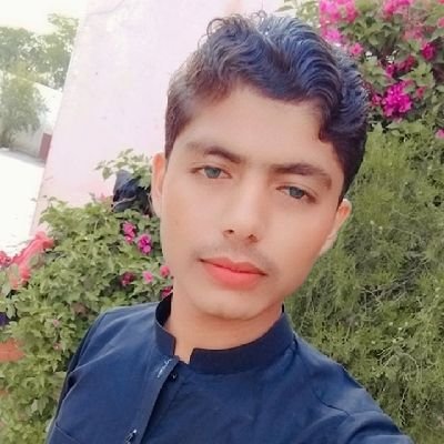 ZohaibZ59844506's profile picture. 