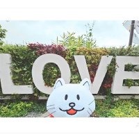 凜子️𐙚SR𖥔 ࣪ (@_rinko_xxx) 's Twitter Profile