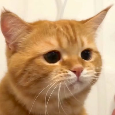 Tanyaandnumbers's profile picture. Kyiv