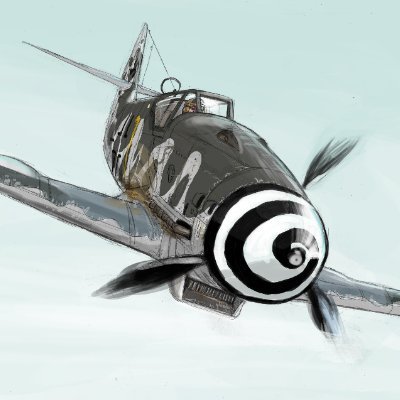1943Reisen's profile picture. A Virtual Fighter Pilot
AND
A Sim Racer
🇻🇳