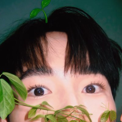 indramaverse's profile picture. reviews for me, to me— 🇰🇷🇨🇳🇹🇭🇯🇵➖