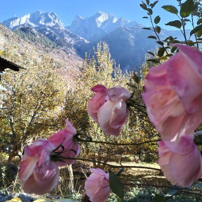Architect, Urban Planner | Into Planning, Architecture, Literature, Movies, Birds and Poetry | Tweets personal