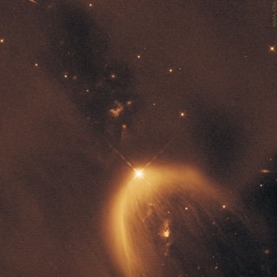 escrevoluar's profile picture. 