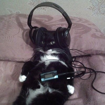 Sasam81さんのプロフィール画像