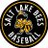 Salt Lake Bees
