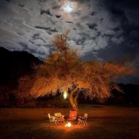 عصفورة🕊️ (@fx_ar22) 's Twitter Profile