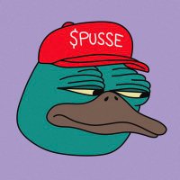 PUSSE THE PLATYPUS (@pussesolana) 's Twitter Profile Photo PUSSE THE PLATYPUS (@pussesolana) 's Twitter Profile Photo