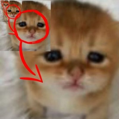 lilx_linux's profile picture. :3