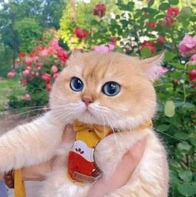 Monowar223697's profile picture. 