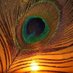 Remover Of Darkness (@ending_samsara) Twitter profile photo Remover Of Darkness (@ending_samsara) Twitter profile photo