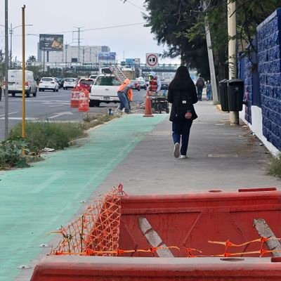 Paseo5F's profile picture. 