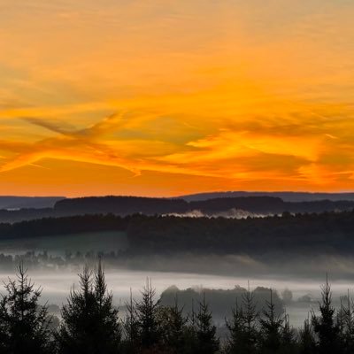 CMNeverStop's profile picture. 